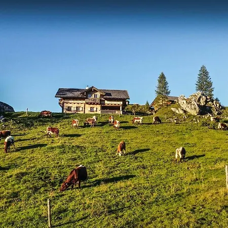 Pension Walchauhof-2